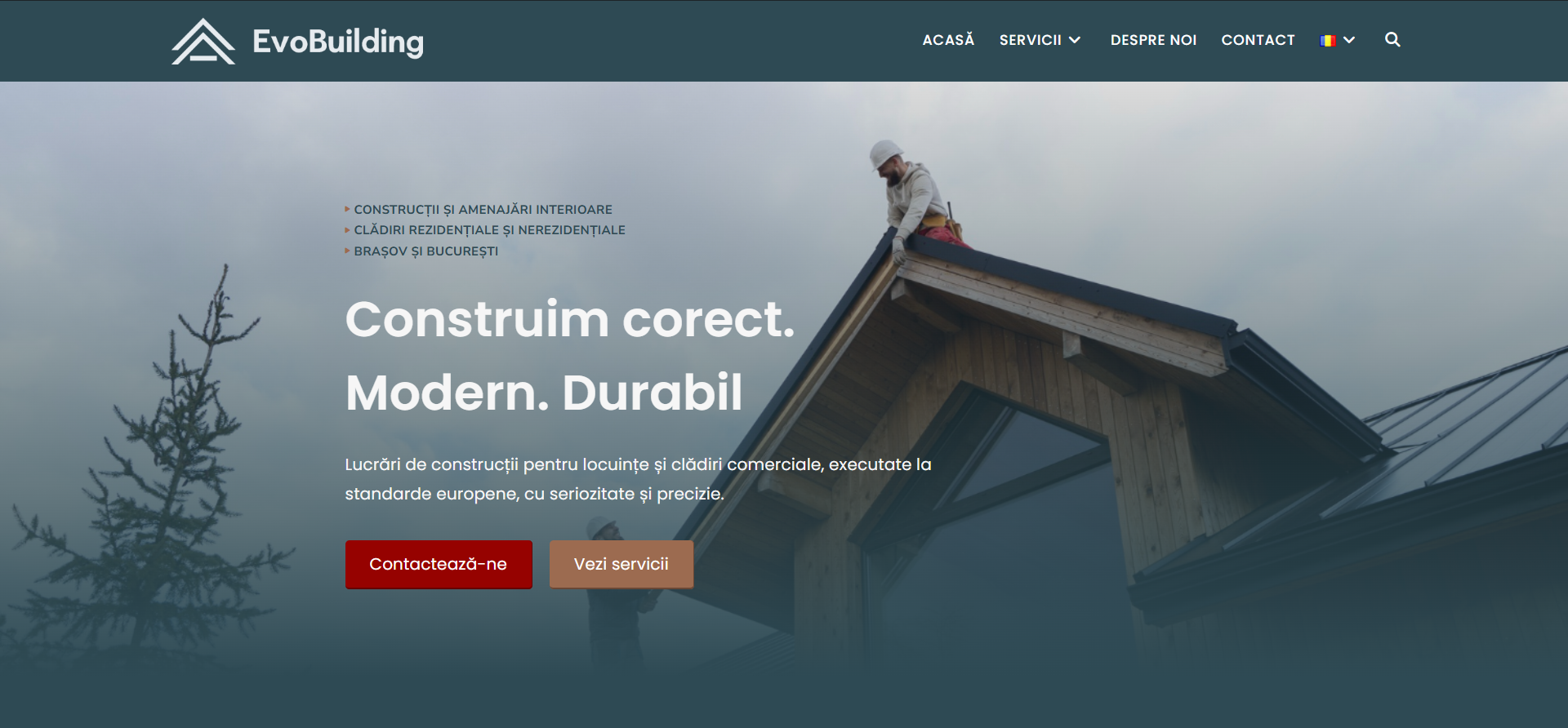 exemplu proiect design 1