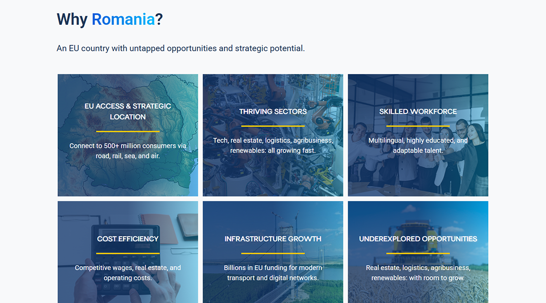 exemplu proiect design 2
